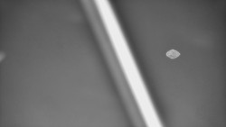 Restaurace U Vleku a parkoviště