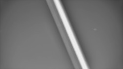 Restaurace U Vleku a parkoviště