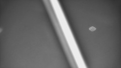 Restaurace U Vleku a parkoviště