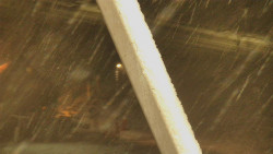 Restaurace U Vleku a parkoviště