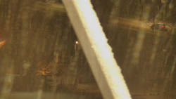 Restaurace U Vleku a parkoviště