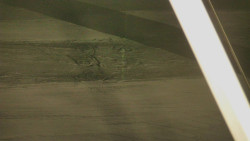 Restaurace U Vleku a parkoviště