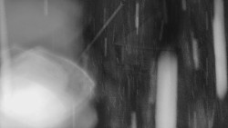 Restaurace U Vleku a parkoviště