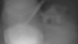 Restaurace U Vleku a parkoviště