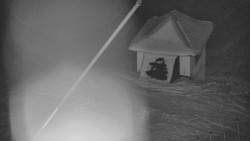 Restaurace U Vleku a parkoviště