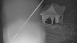 Restaurace U Vleku a parkoviště