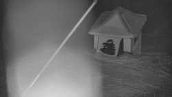 Restaurace U Vleku a parkoviště