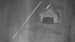 Restaurace U Vleku a parkoviště