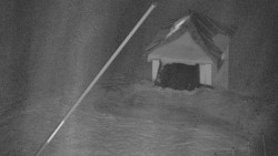 Restaurace U Vleku a parkoviště