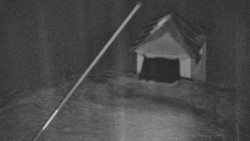 Restaurace U Vleku a parkoviště