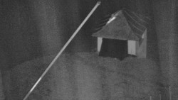 Restaurace U Vleku a parkoviště