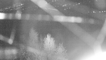 Snímek    20.10.2025 v 21:00