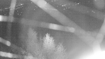 Snímek    20.10.2025 v 23:00