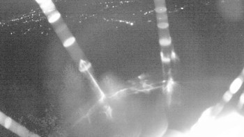 Snímek    25.10.2025 v 06:00