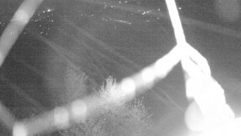 Snímek    29.10.2025 v 05:00