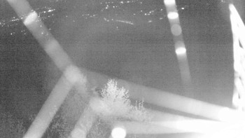 Snímek    30.10.2025 v 05:30