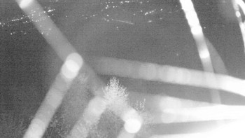 Snímek    31.10.2025 v 00:30