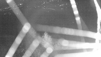 Snímek    31.10.2025 v 01:30