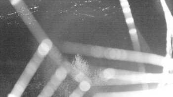 Snímek    31.10.2025 v 03:00