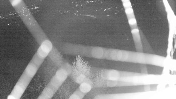 Snímek    31.10.2025 v 04:00