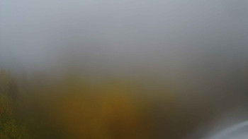 Snímek    3.11.2025 v 11:00