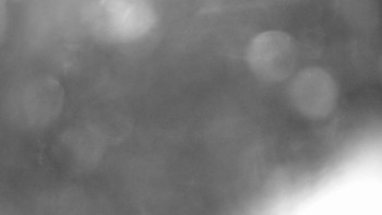 Snímek 23.11.2025 v 06:00