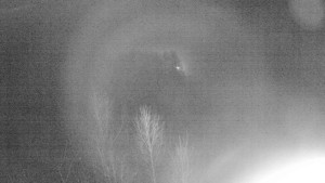 Ski Malenovice - Sjezdovka Staromák - 23.12.2025 v 03:00 Ski Malenovice - Sjezdovka Staromák - 23.12.2025 v 03:00