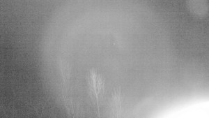 Ski Malenovice - Sjezdovka Staromák - 24.1.2026 v 20:00 Ski Malenovice - Sjezdovka Staromák - 24.1.2026 v 20:00