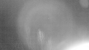 Ski Malenovice - Sjezdovka Staromák - 24.1.2026 v 21:30 Ski Malenovice - Sjezdovka Staromák - 24.1.2026 v 21:30