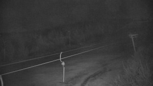 Červenohorské sedlo - Sjezdovka - Žlutá - 9.5.2025 v 03:00 Červenohorské sedlo - Sjezdovka - Žlutá - 9.5.2025 v 03:00