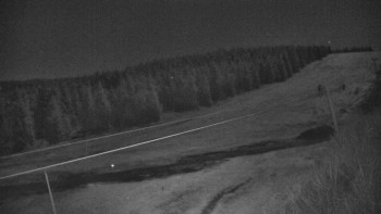 Snímek 7.11.2025 v 00:30