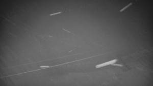 Červenohorské sedlo - Sjezdovka - Žlutá - 11.11.2025 v 18:00 Červenohorské sedlo - Sjezdovka - Žlutá - 11.11.2025 v 18:00