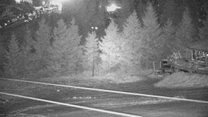 Červenohorské sedlo - Sjezdovka - Žlutá - 29.12.2025 v 05:00 Červenohorské sedlo - Sjezdovka - Žlutá - 29.12.2025 v 05:00