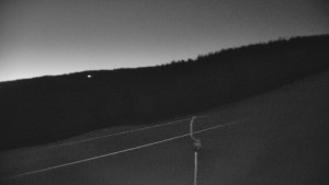 Červenohorské sedlo - Sjezdovka - Žlutá - 20.3.2026 v 05:00 Červenohorské sedlo - Sjezdovka - Žlutá - 20.3.2026 v 05:00