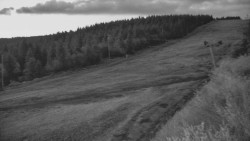 Sjezdovka - Žlutá