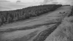 Sjezdovka - Žlutá