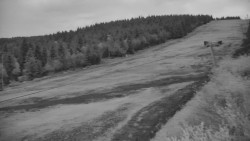 Sjezdovka - Žlutá