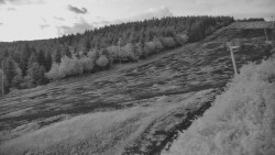 Sjezdovka - Žlutá