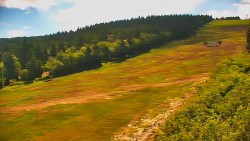 Sjezdovka - Žlutá
