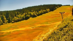 Sjezdovka - Žlutá