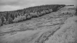 Sjezdovka - Žlutá