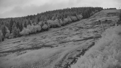 Sjezdovka - Žlutá