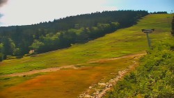Sjezdovka - Žlutá