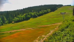 Sjezdovka - Žlutá