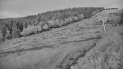 Sjezdovka - Žlutá