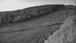 Sjezdovka - Žlutá