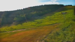Sjezdovka - Žlutá