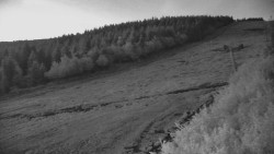 Ski slope - Yellow