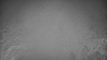 Snímek 14.11.2025 v 20:30