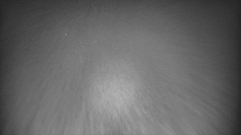 Snímek    25.10.2025 v 05:46